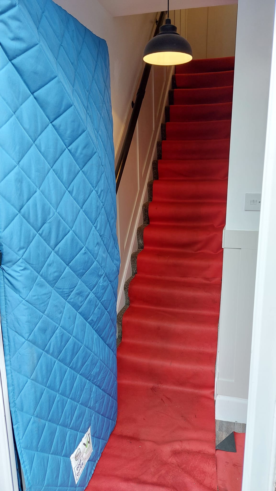 Door and floor protection